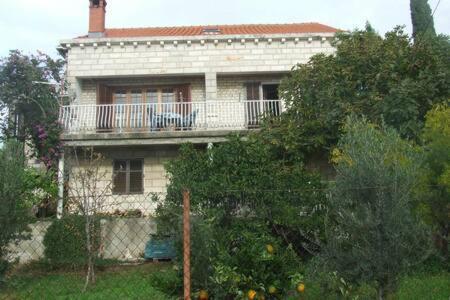 Honey Bee Cavtat Apartment Exterior foto