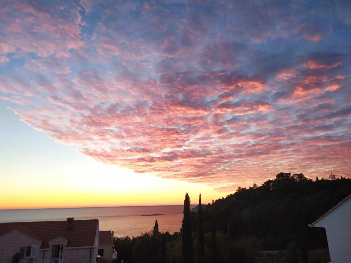 Honey Bee Cavtat Apartment Exterior foto